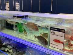 -盒马X会员店(上海森兰商都店)