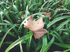 -白塘生态植物园