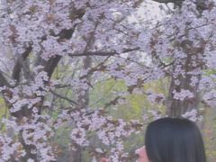 -石家庄市植物园