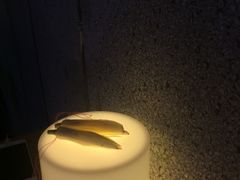 -蜜和麦精酿啤酒吧honey&malt(桐梓林店)