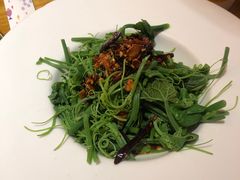 -新凯里酸汤鱼(飞山街店)