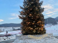 -中旅松花湖滑雪场