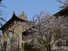 -武汉大学-樱园