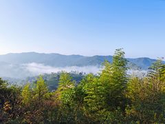 -雁南飞茶田景区