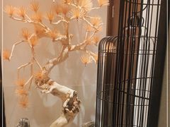 -悦融·京鲁菜·露台花园(安定门店)