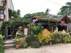 -Jungle Kitchen