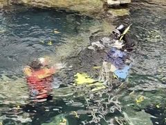 -长鹿旅游休博园