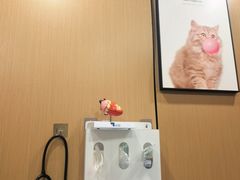 -半岛宠物医院24小时(西派城店)
