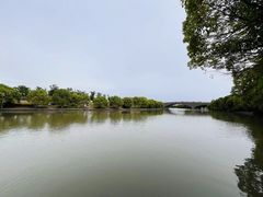 -广富林郊野公园
