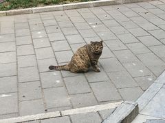 -北京市劳动人民文化宫(太庙)