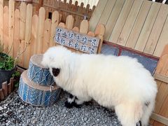 -HERRE·FARM 赫尔露营农场·团建聚会包场