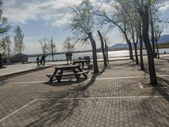 -野鸭湖国家湿地公园