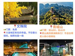 -成都大熊猫繁育研究基地