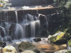 -藏龙百瀑风景区