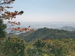 -阳台山森林公园