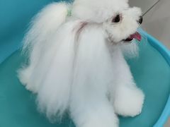 -宠颐生动物医院·小陆分院