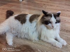 -白兔子密室(长寿路店)