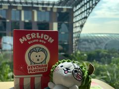 -樟宜机场皇冠假日酒店 （SG Clean） - IHG 旗下酒店