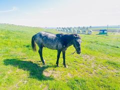 -扁都口生态休闲旅游区