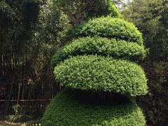 -苏州河梦清园环保主题公园