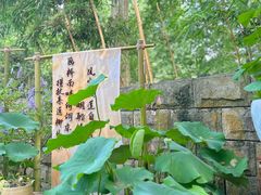 -杭州植物园