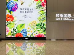 -广州白云国际机场-T2航站楼