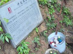 android_upload_pic-华蓥山天意谷景区