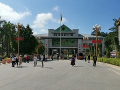 -打洛口岸