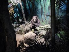 -国家自然博物馆