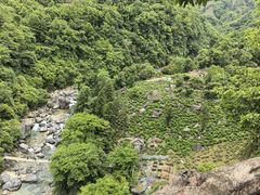 -石台牯牛降景区