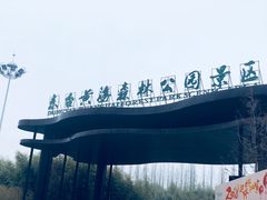 门面-黄海国家森林公园