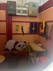 -斯坦熊亲子密室(富力广场店)