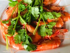 白灼虾-陈岱后山窑鸡店