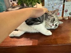 -咖法森林·咖啡  酒吧(天河店)