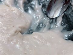 -海丝金凤(金鱼店)