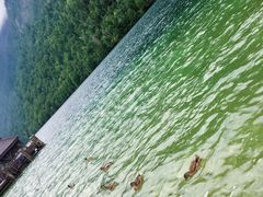 -柯尼希湖