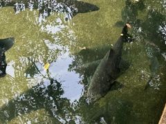 -杭州植物园