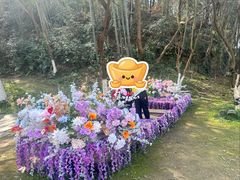 -常德桃花源景区