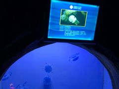 -常州海昌海洋探索馆