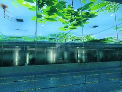 -DF游泳健身(贾家花园店)