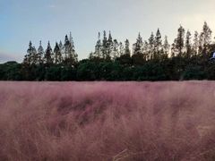 -嘉北郊野公园