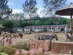 -大连森林动物园