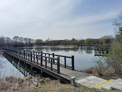 -苏州太湖国家湿地公园