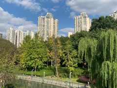 -苏州河梦清园环保主题公园