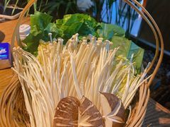 -同仁四季椰子鸡(福田车公庙店)