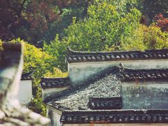 -塔川景区