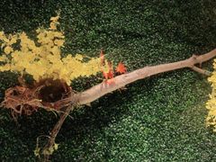 -茉莉餐厅(亳州高新万达广场希夷大道店)