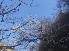 -北京凤凰岭