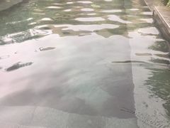 -清远熹乐谷温泉度假酒店