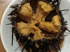 -海胆小馆(东北水饺·春柳店)